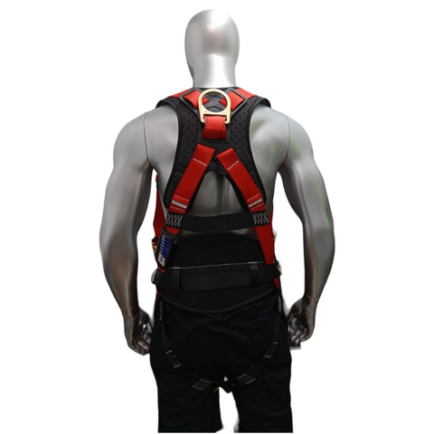 Harness con cinturon